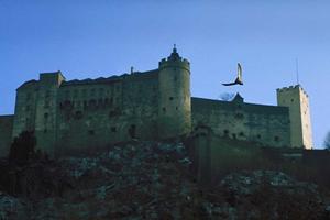 おしゃれなリノベーションを施工する会社