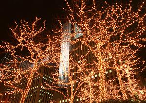 仙台市泉区の不動産情報を詳しく知りたい方へ必見！価格相場やエリア魅力、学区情報など徹底解説