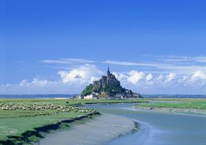 富山県の不動産取引は大野商事株式会社相談を